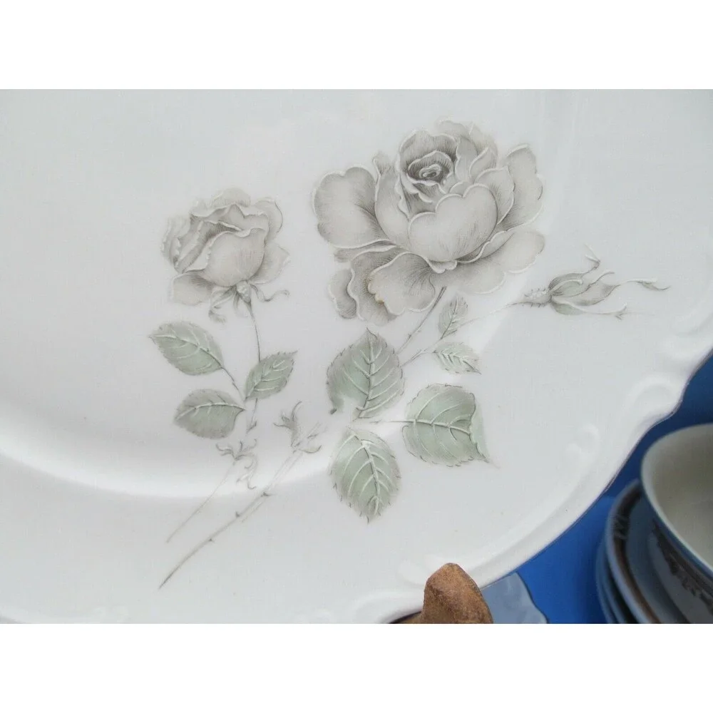 Mitterteich Bavaria Germany Mystic Rose Dinner Plate Platinum Trim Bundle of 4